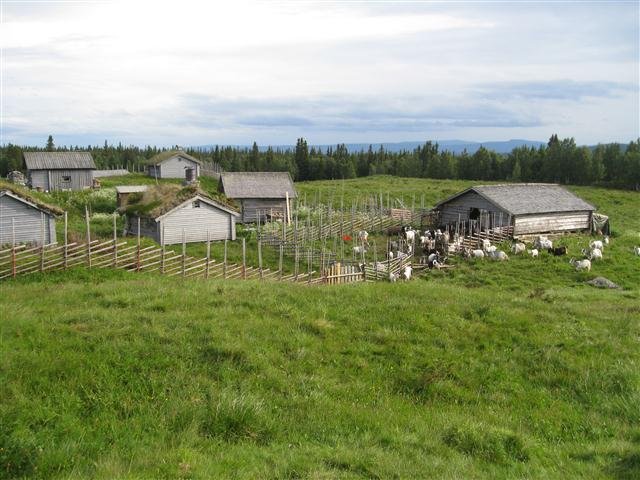 small68.jpg