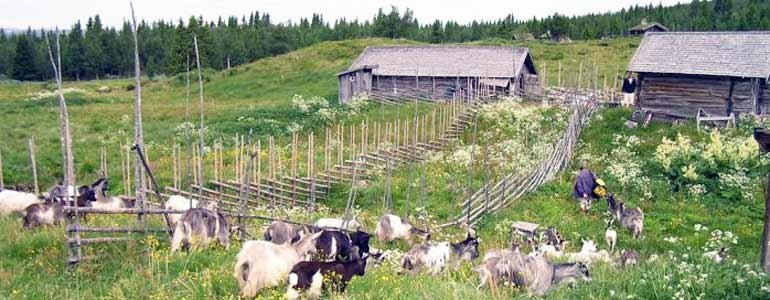 ostraaradalenfabodvall15.jpg